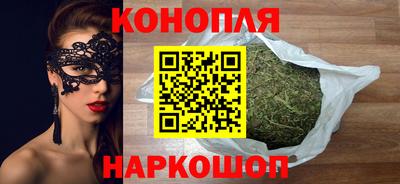 сатива Бердск