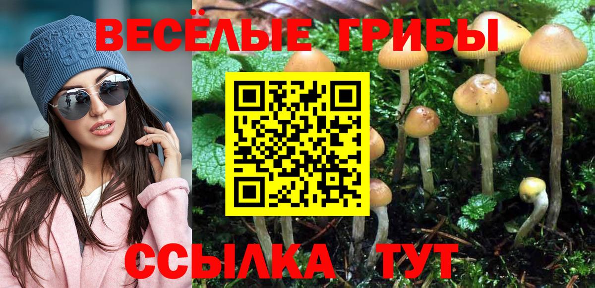 Грозный  Псилоцибиновые грибы GOLDEN TEACHER  Вход с VPN  Галлюциногенные грибы Cubensis 