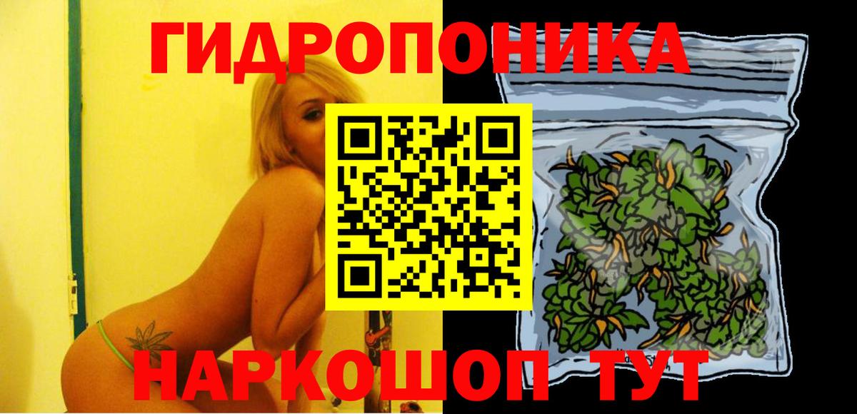 Шишки марихуана сатива  Вход с VPN  Марихуана семена  Каннабис ГИДРОПОН  Грозный 